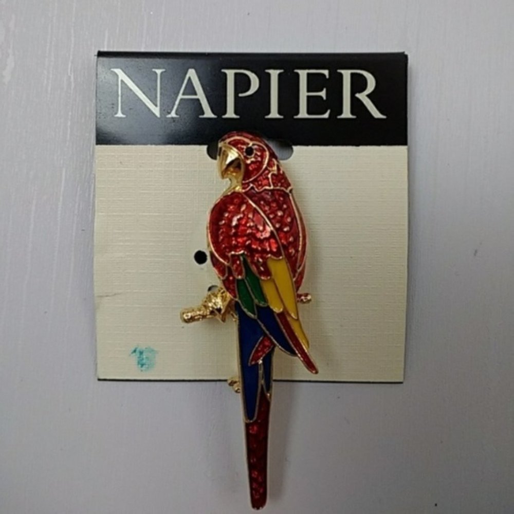 Napier Parrot pin / brooch